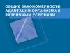 Общие закономерности адаптации организма к различным условиям