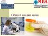 Общий анализ мочи