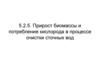 Прирост биомассы и потребление кислорода в процессе очистки сточных вод. (Лекция 5.2.5)