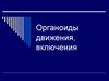 Органоиды движения, включения