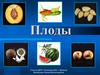 Плоды. Строение плода