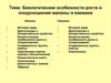 Биологические особенности роста и плодоношения малины и ежевики