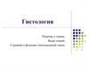 Гистология. Понятие о тканях. Виды тканей. Строение и функции эпителиальной ткани