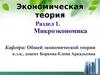 Введение в экономическую теорию. (Тема 1)