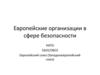 Европейские организации в сфере безопасности. НАТО, СБСЕ/ОБСЕ, Европейский союз (Западноевропейский союз). (Тема 6)