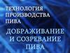 Дображивание и созревание пива