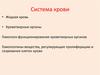 Система крови