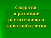 Сходство и различие растительной и животной клетки