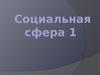 Социальная сфера. (9 класс)
