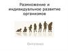 Размножение и индивидуальное развитие организмов. Онтогенез