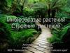 Многобразие и строение растений (1 класс)