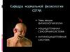 Физиология боли: ноцицептивная сенсорная система, антиноцицептивная система