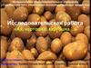Прорастание картофеля в разных условиях