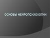 Основы нейропсихологии