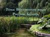 Внутренние воды России. Болота