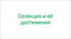 Селекция и её достижения
