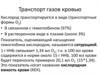 Транспорт газов кровью