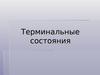 Терминальные состояния. Критический уровень расстройства жизнедеятельности организма
