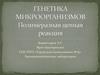 Генетика микроорганизмов. Полимеразная цепная реакция