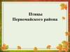 Птицы Первомайского района
