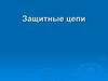 Защитные цепи. Поставщик компания ООО «ВМК»