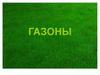 Газоны. Структура газонного покрытия. Износоустойчивость. Типы травосмесей и их значение. Классификация газонов