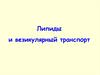 Липиды и везикулярный транспорт (лекция 6)