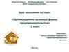 Урок экономики по теме: «Организационно-правовые формы предпринимательства»