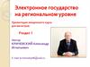 Электронное государство на региональном уровне. (Раздел 1)