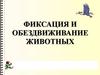 Фиксация и обездвиживание животных