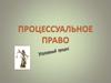 Процессуальное право