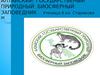 Алтайский государственый природный биосферный заповедник