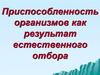 Приспособленность организмов как результат естественного отбора