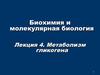 Метаболизм гликогена. (Лекция 4)
