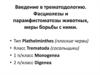 Введение в трематодологию. Фасциолезы и парамфистоматозы животных, меры борьбы с ними