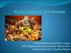 Культурные растения