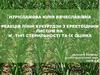 Реакція ліній кукурудзи з еректоїдним листом на м-тип стерильності та їх оцінка