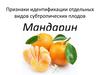 Товароведная характеристика мандаринов