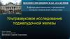 Ультразвуковое исследование поджелудочной железы