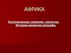 Африка. Тектоническое строение, геология. История развития рельефа