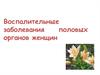 Воспалительные заболевания половых органов женщин
