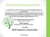 Аттестационная работа. ЭКО-проект «GreenLife» г. Екатеринбург