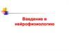 Введение в нейрофизиологию