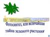 Фотосинтез. Величайшая тайна растений
