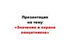 Значение и охрана ланцетников