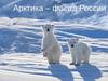 Арктика - фасад России