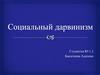 Социальный дарвинизм