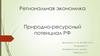 Региональная экономика. Природно-ресурсный потенциал