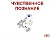 Чувственное познание. Ощущения, восприятие, представление