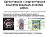 Органические и неорганические вещества входящии в состав клетки